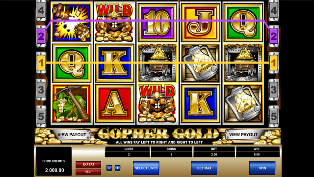 Gopher Gold 1